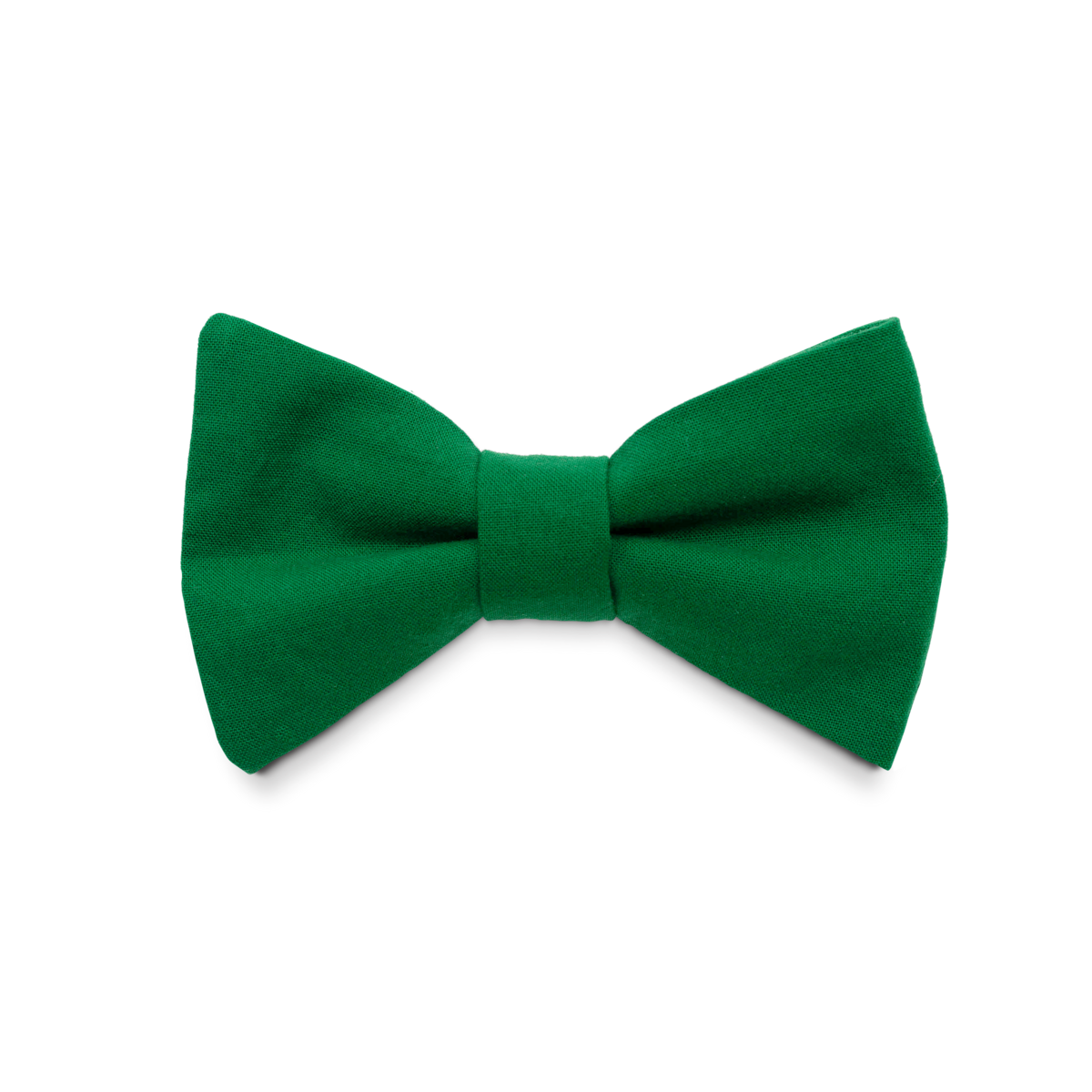 Papillon Verde