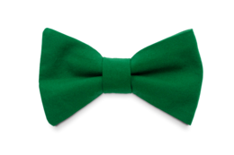 Pajarita Verde