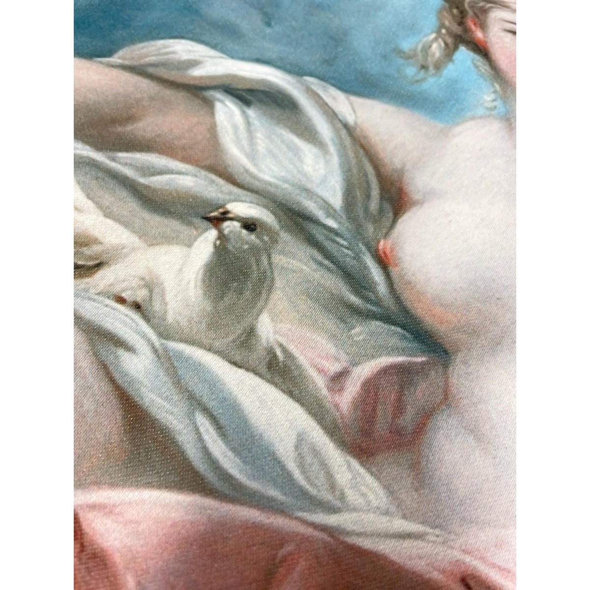 Kussenhoes Venus on the Waves | ROC004