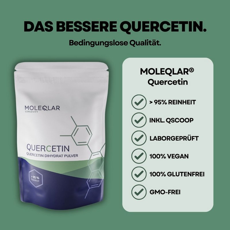 Quercetina en polvo