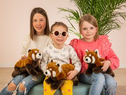 Rode panda 30 cm - knuffel - knuffeldier