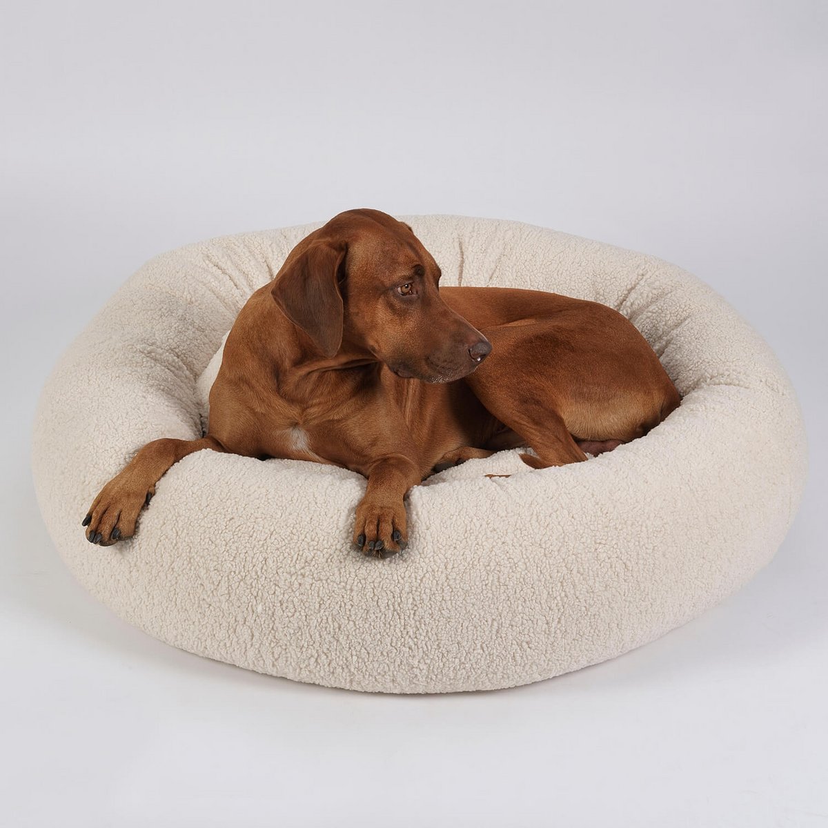 Hundekissen Donut Kuschelnest LOOP Paddy creme