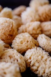 Hangboeket natuurspons voor raam en winkel, 36 sponzen