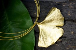 Real Ginkgo Biloba Leaf Necklace, 14K Gold Plated Brass Pendant, Handmade Jewelry Gift for Her, Birthday Gift for Women, Nature-Inspired