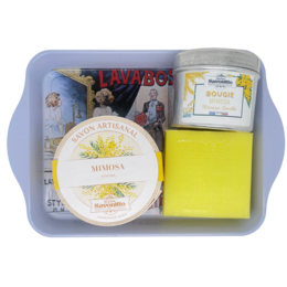 Geschenkbox - Mimosa