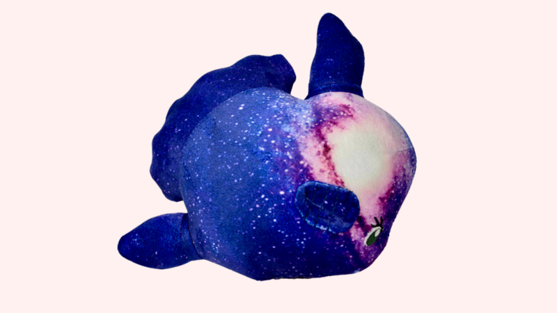 The Universe, the Celestial Moon Fish