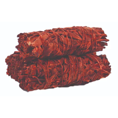 Sauge Sang-Dragon 10cm pour Rituels de Protection