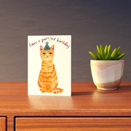 Purrfect Birthday