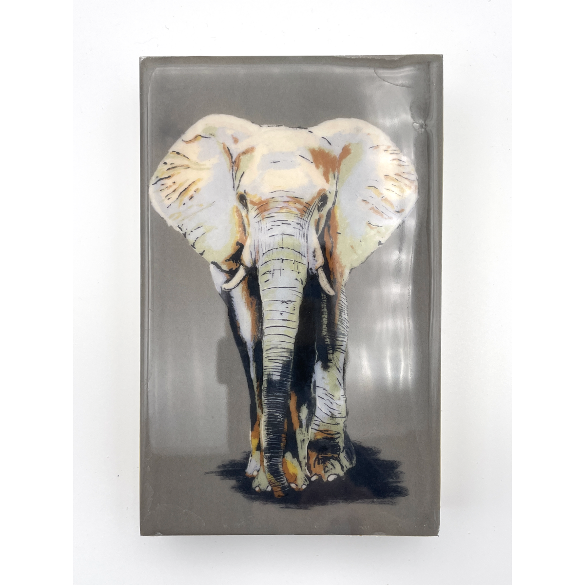 Elephant Wood Tile