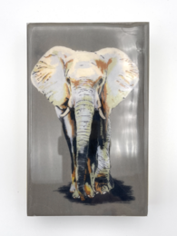 Elephant Wood Tile