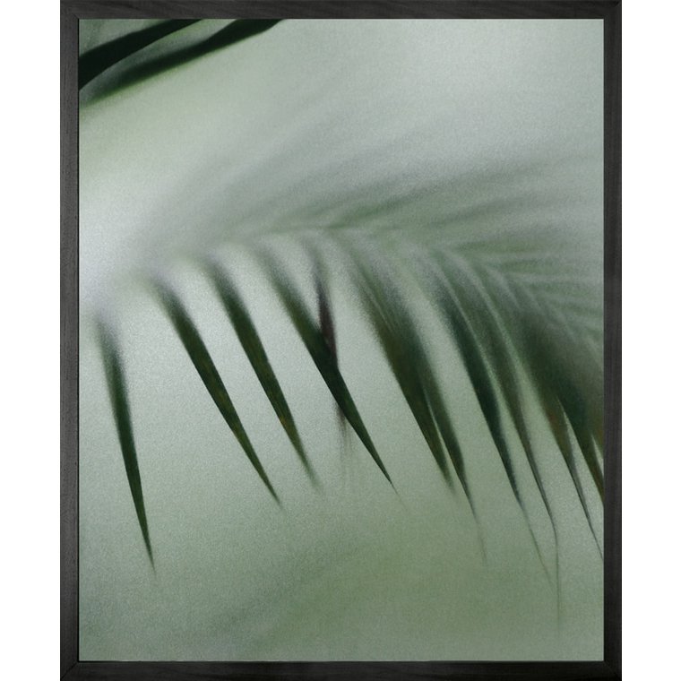 Palm etch 8 Framed Printed canvas - Mini