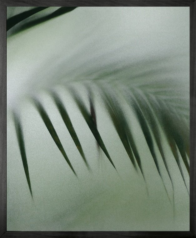 Palm Etch 8 Gerahmte bedruckte Leinwand - Mini