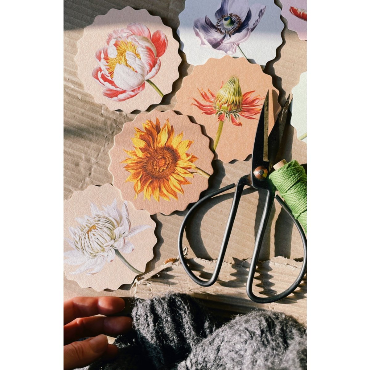 Sous-verres 10 motifs fleurs - 12 sets