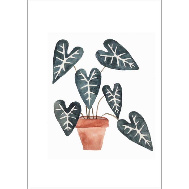 Ansichtkaart - Zwarte plant