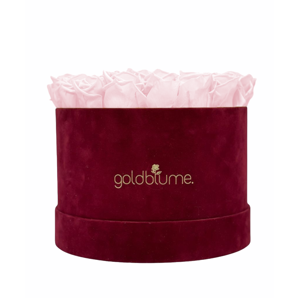 Collection Velours Bordeaux