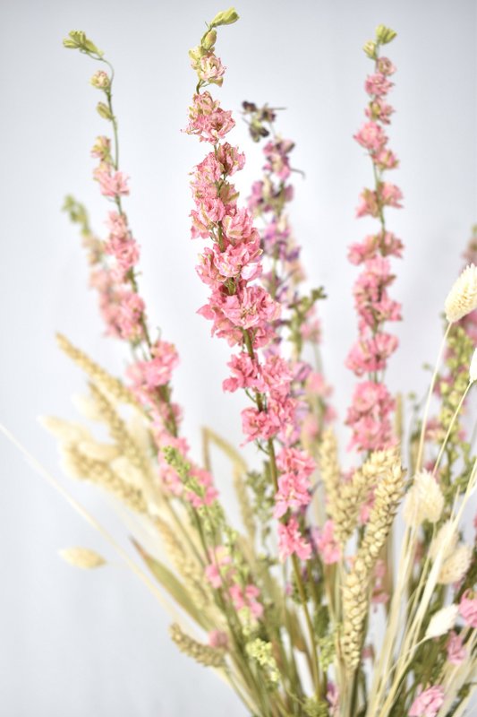 Mazzo Di Fiori Secchi - Rosa Naturale - 70 cm