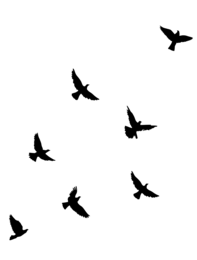 White birds silhouettes against a white background, garden poster with flying birds.