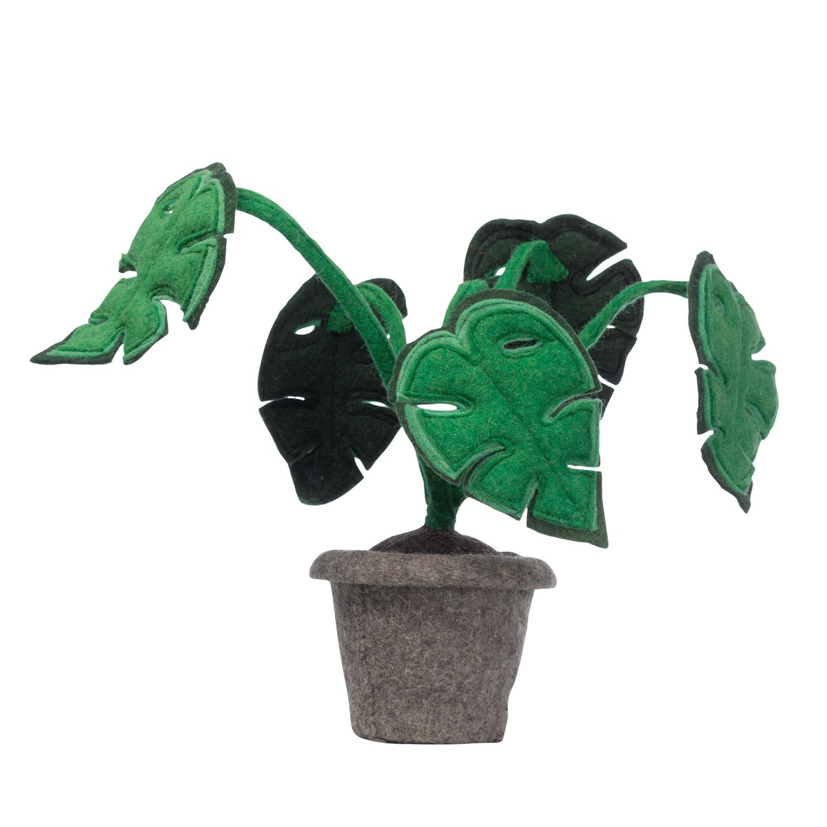 Monstera plante, filt dekoration plante.