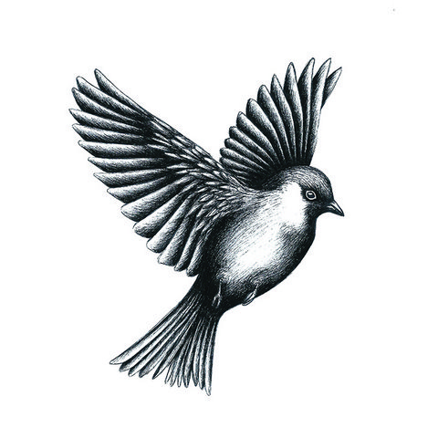 Temporary tattoo: Bird
