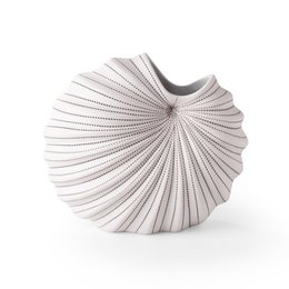 Palmenvase – Warmer Minimalist