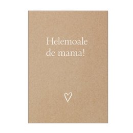 Postkaart | westvloams 5