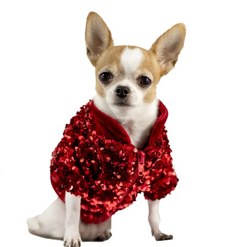 Chaqueta Valentina