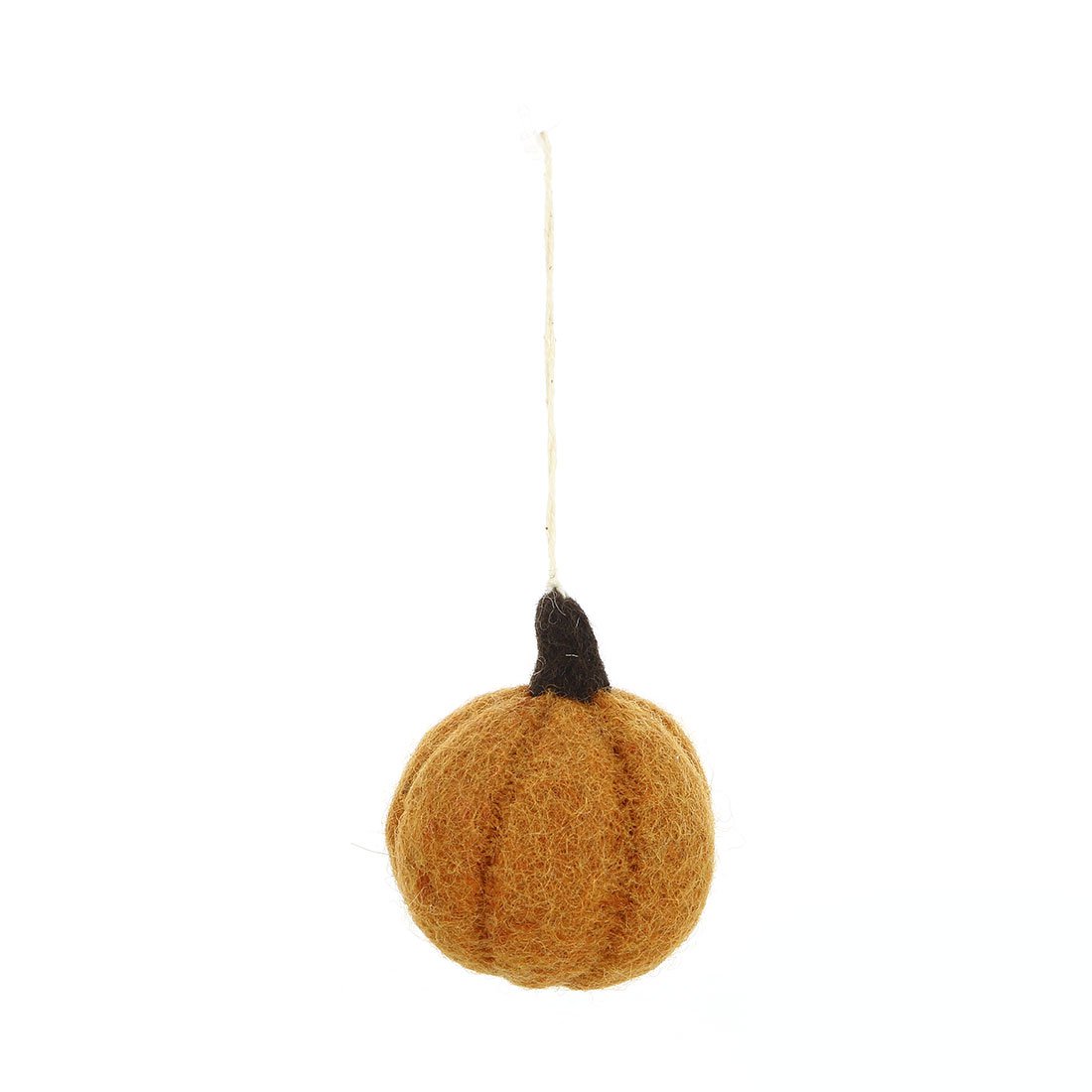 Pauster di zucca arancione, feltro