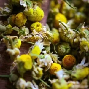 TOFILLO Chamomile Tea