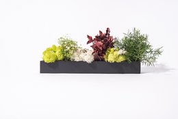 A black rectangular container holding a variety of colorful, textured plants and flowers, including yellow, green, and burgundy elements. The arrangement has a modern, minimalist aesthetic.
