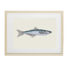 cartel de pescado