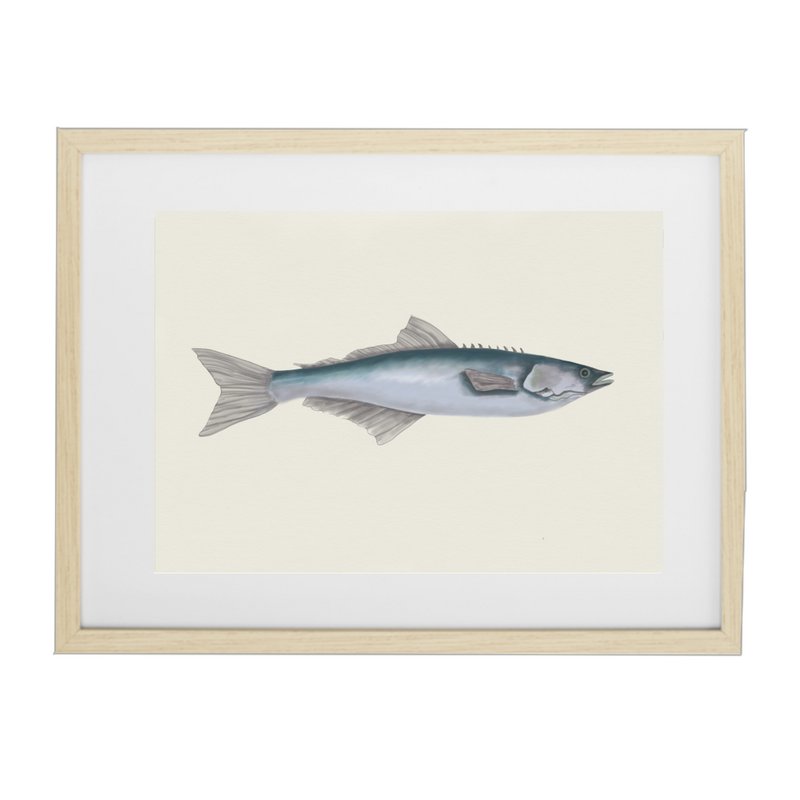 Affiche poisson
