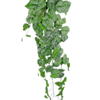Artificial hanging plant Scindapsus 90 cm