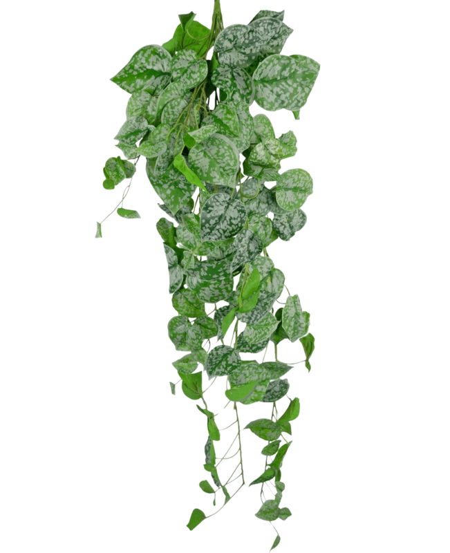 Sztuczna roślina zwisająca Scindapsus 90 cm
