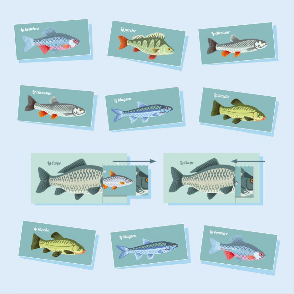 Der hübsche Fisch