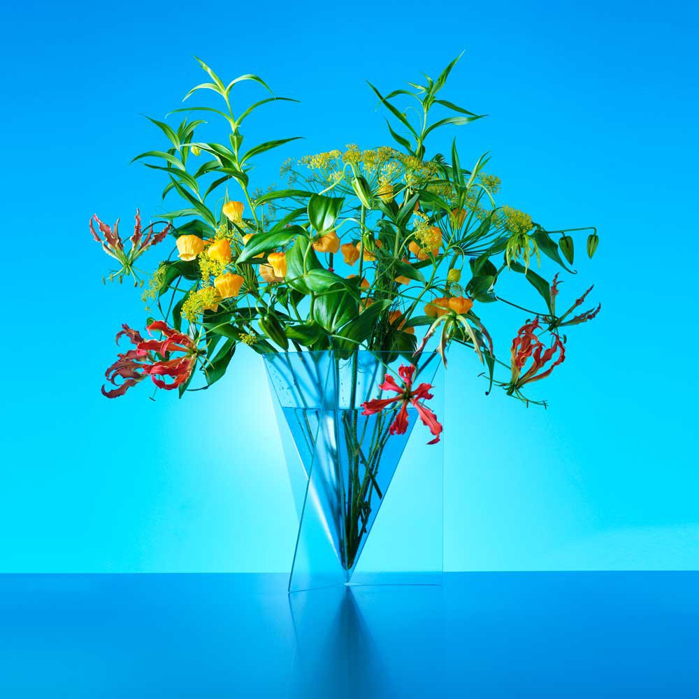 Designvase - Mart van Schijndel - Deltavase
