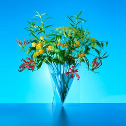 Designvase - Mart van Schijndel - Deltavase