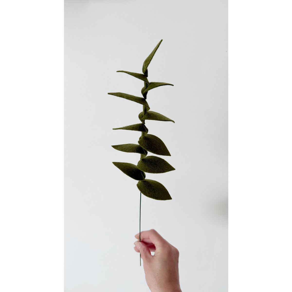 Filzblume Gemüsezweig dunkelgrün