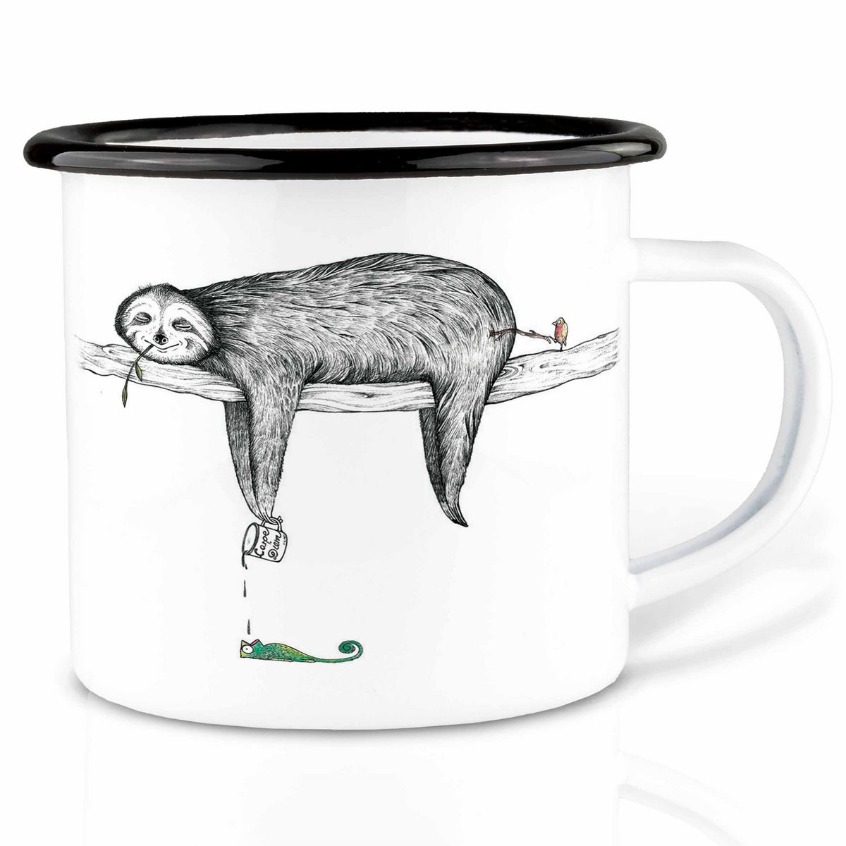 Coppa smaltata – bradipo