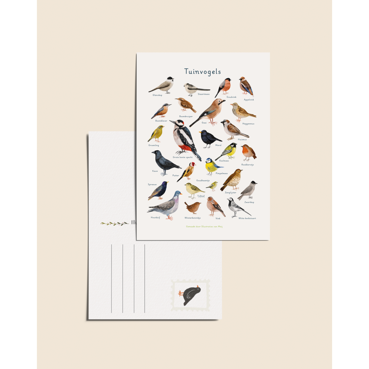 “Uccelli da giardino” – Biglietto illustrato A6 | Tintoretto Gesso da 350 g/m²