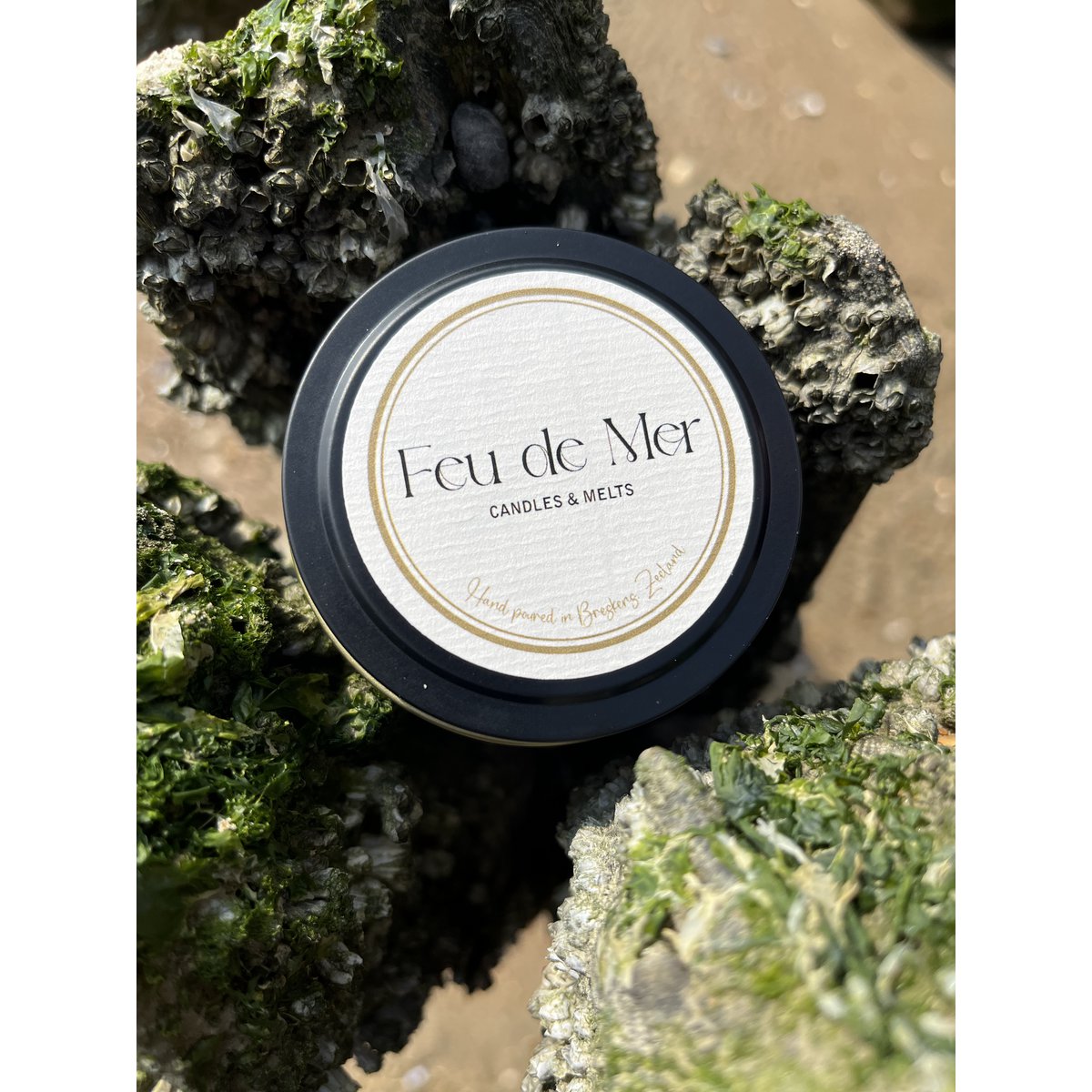Wax melts seashells 50g - sea salt & driftwood