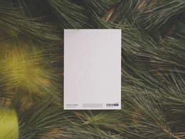 fir tree | postcard