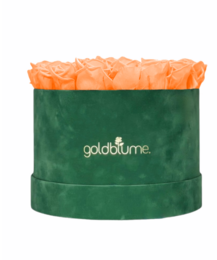 Velvet Green Collection