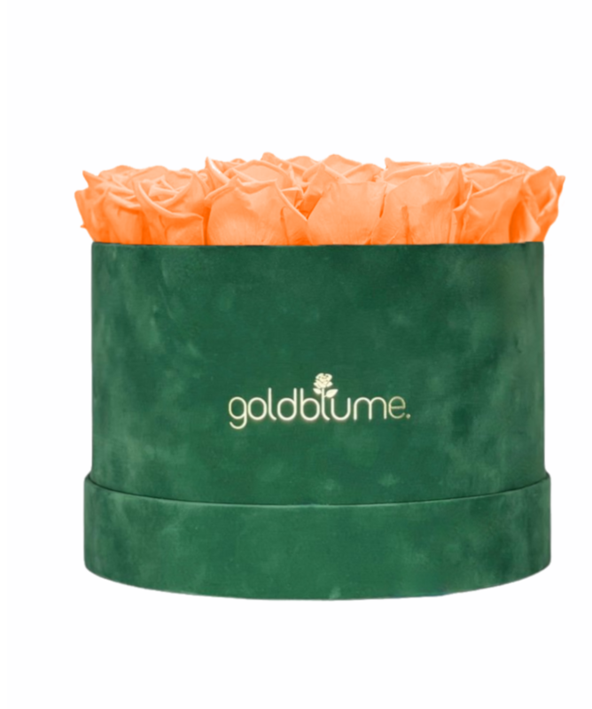 Velvet Green Collection
