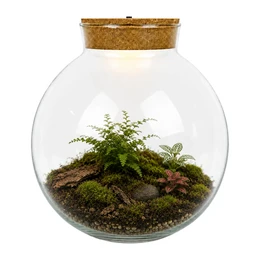 Glass Terrarium with LED Cork W-487B 23 cm