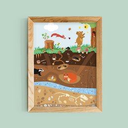 A colorful learning poster depicting a forest scene with various animals and natural elements. The poster is designed to educate and engage children, featuring a vibrant and detailed illustration.