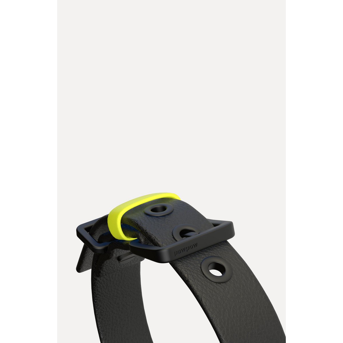 Dog collar C01