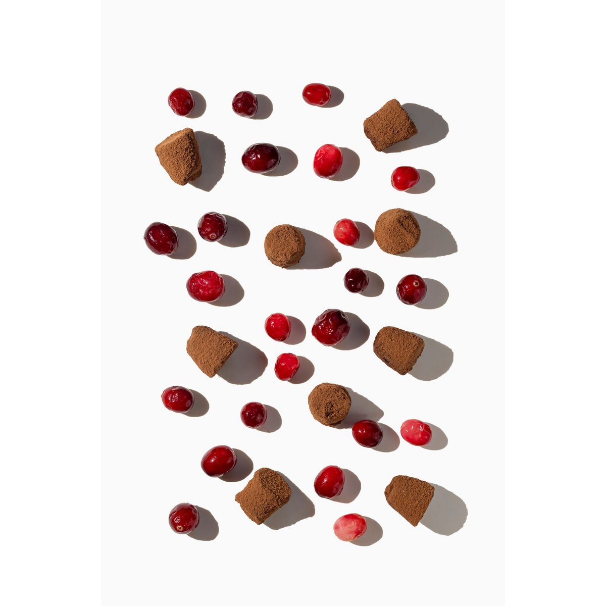 Trufas de chocolate de arándano - a granel