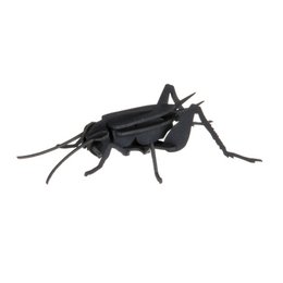 Black 3D paper cricket model, insect craft kit, articulated legs, DIY assembly project