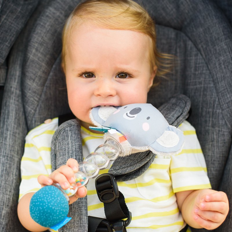 KOALA RAINSTICK RATTLE