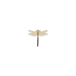 Pin Libelle